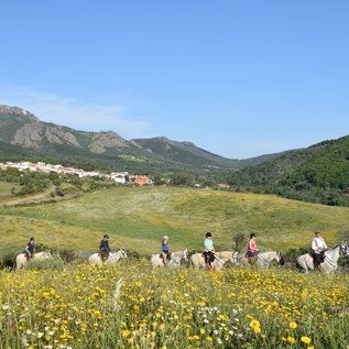 Wanderreiten in herrlicher Natur