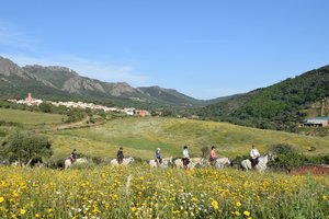 Wanderreiten in herrlicher Natur