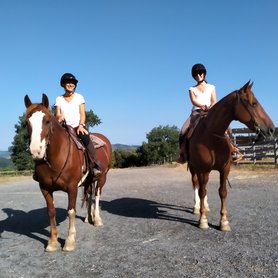 Freundinnen beim Wanderreiten