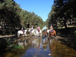 Trinkpause am Fluss