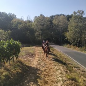 Reiten entlang ruhiger Landstraßen
