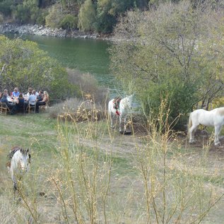 Mittagspause am Fluss