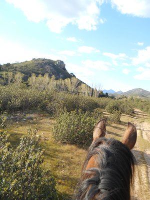 Ausblick vom Pferd