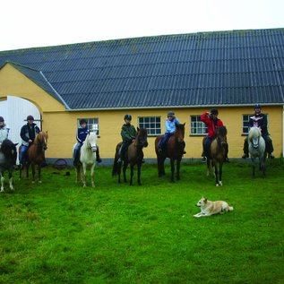 Gruppenbild vorm Stall