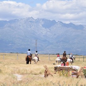 Weiterreiten nach dem Mittags-Picknick