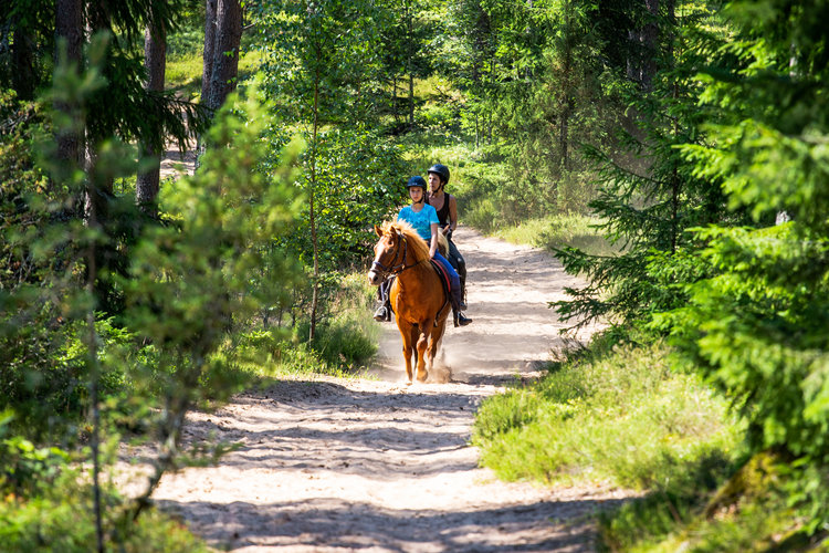Reit- & Kanutouren - Ferienspaß für Outdoorliebhaber in Smaland