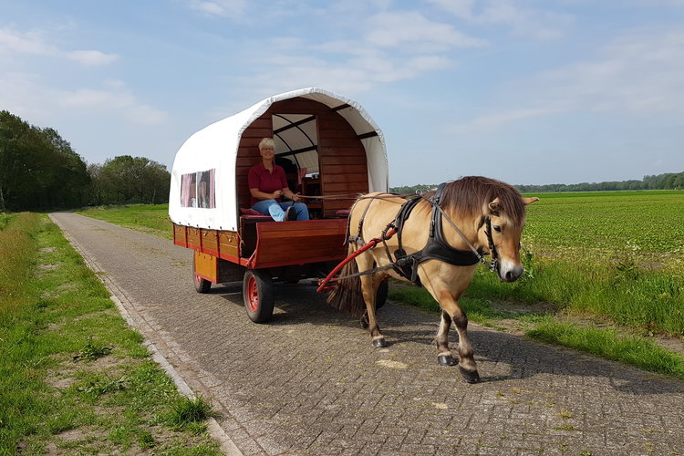Natur pur – Mit dem Pferdewagen durch Drenthe