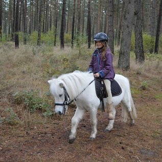 Ponyspaziergang