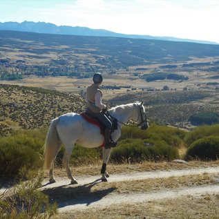 Ritt durch die Dehesa mit Blick auf die Gredos Mountains