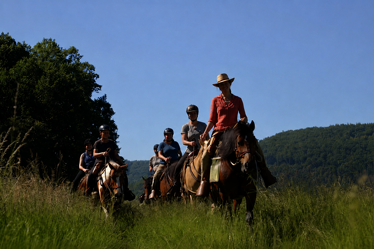 Wanderreiten in der Eifel - im Westernsattel durch Rureifel und Nationalpark Wanderreiten in der Eifel - im Westernsattel durch Rureifel und Nationalpark