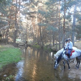 Trinkpause am Fluss