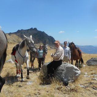 Kurze Pause für Pferd & Reiter