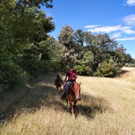 Wanderreiten durch die Toskana