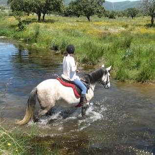 Flussüberquerung