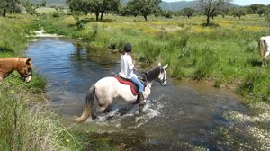 Flussüberquerung