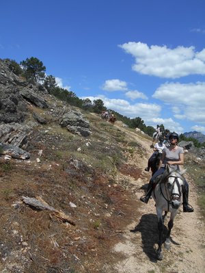 Wanderreiten bergab