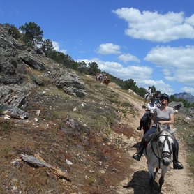 Wanderreiten bergab