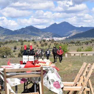 Ankunft zum Picknick