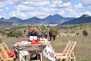Ankunft zum Picknick