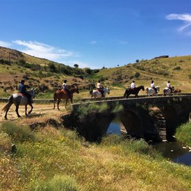 Ritt über eine Brücke