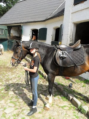 Bereit zum Reiten
