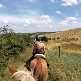Wanderreiten durch die Toskana