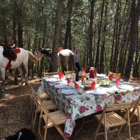 Picknick im Wald