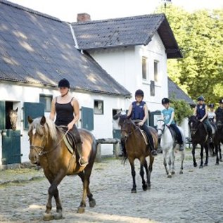 Rückkehr vom Ausritt auf den Reiterhof