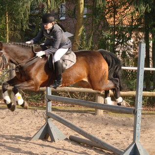 Springprüfung zum Reitabzeichen