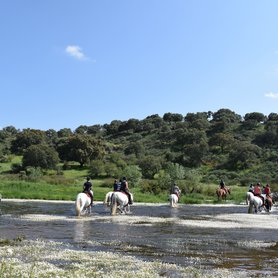 Ritt durch einen Fluss