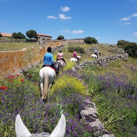 Wanderreiten durch die Dehesa