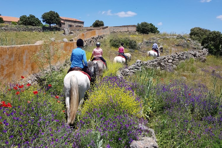 Wanderreiten in der spanischen Extremadura