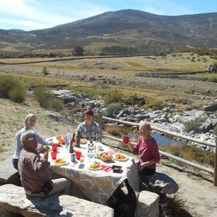 Picknick in der Mittagspause