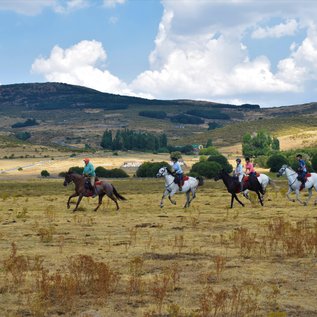 Galoppieren am Fuße der Gredos Mountains