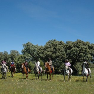 Gruppenbild in der Dehesa