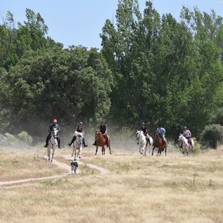 Im Galopp durch die Dehesa
