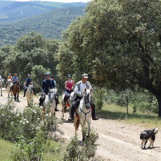 Wanderreitgruppe