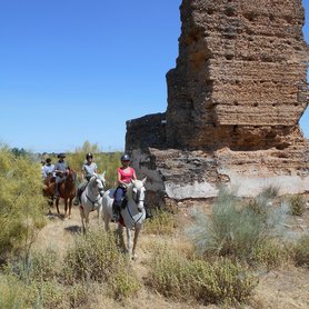 Wanderreiter an einem Felsen