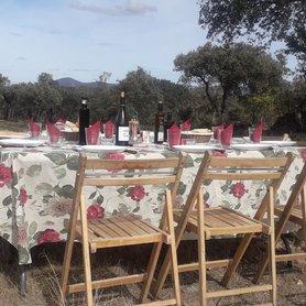 Picknick in der Natur
