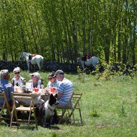 Mittagspause in der Natur