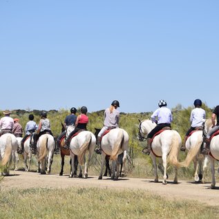 Wanderreiten in Kleingruppen