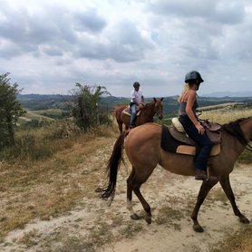 Wanderreiten durch die Natur