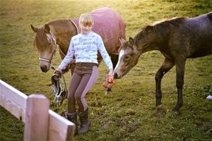 Pferde & Ponys von der Weide holen