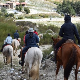 Reiten bergab
