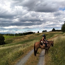 Wanderreiten über Feldwege