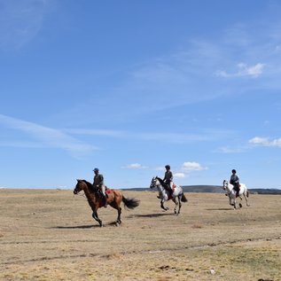 Im Galopp durch die Dehesa