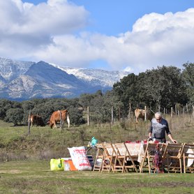 Picknick in der Natur