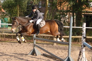 Ein Pferd mit Reiterin im Sprung über ein Hindernis auf dem Reitplatz des Reiterhofs.