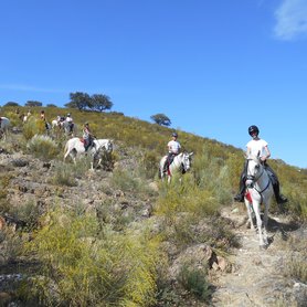 Ritt bergab im Nationalpark Monfragüe