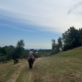 Wanderreiten in kleinen Gruppen